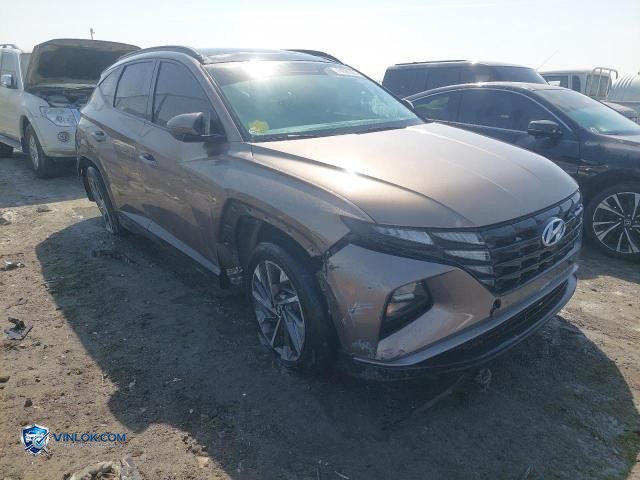 2024 HYUNDAI TUCSON – Lot 74089365 auction photo