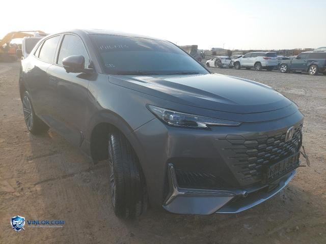 2024 CHAN UNIK – Lot 74167765 auction photo