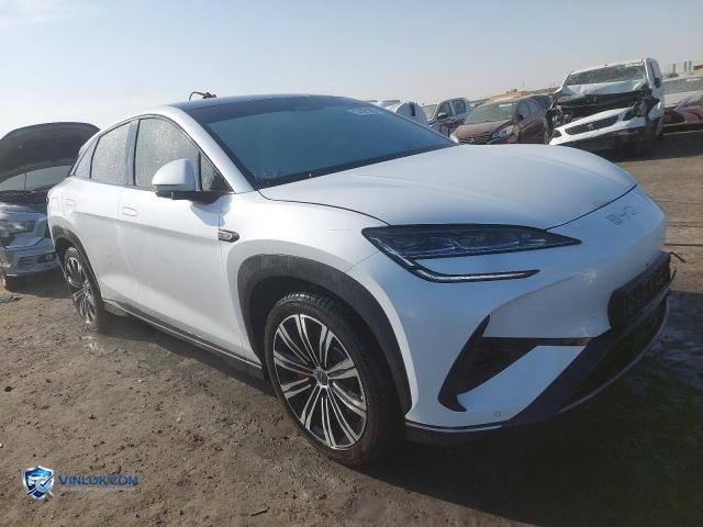 2025 BYD SEALION – Lot 74191585 auction photo