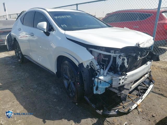2025 LEXUS NX 350 – Lot 74512575 auction photo