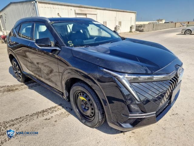 2023 GAC EMK00 – Lot 74521515 auction photo