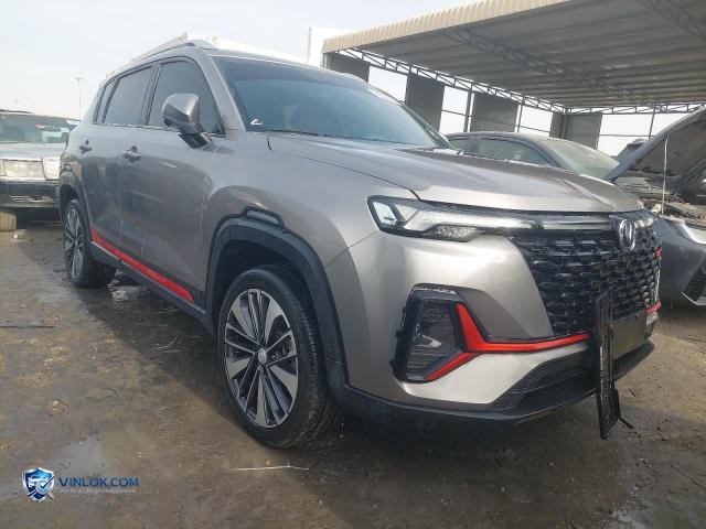 2024 CHAN CS35 PLUS – Lot 74529765 auction photo