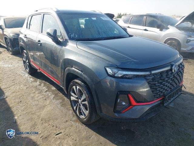 2025 CHAN CS35 – Lot 74714745 auction photo