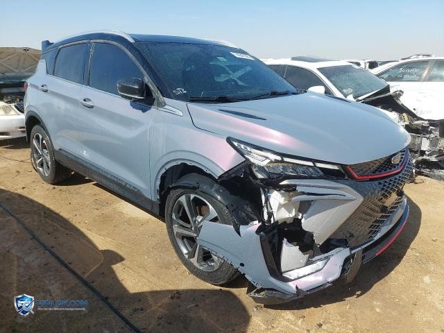 2025 GEEA COOLRAY – Lot 74947585 auction photo