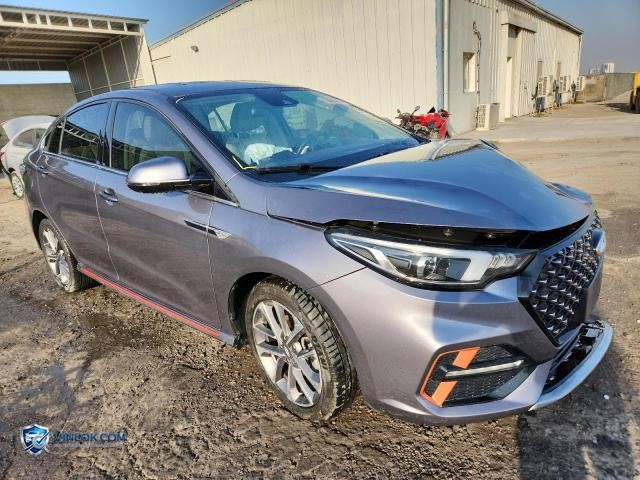 2023 CHER ARRIZO 6 – Lot 75097355 auction photo