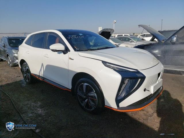 2024 DONG FORTHING – Lot 75132515 auction photo