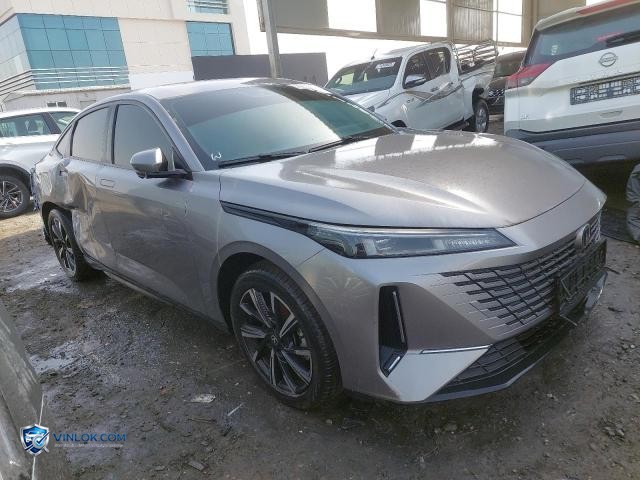 2025 CHAN EADO – Lot 75135535 auction photo