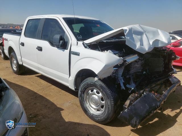 2019 FORD F150 – Lot 75140095 auction photo