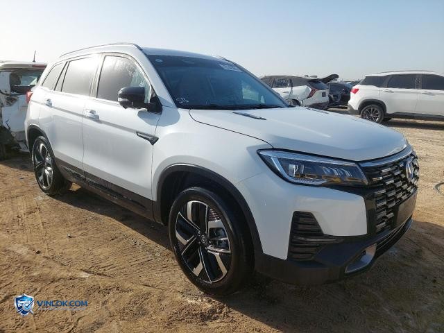 2025 CHAN CS75 – Lot 75142665 auction photo