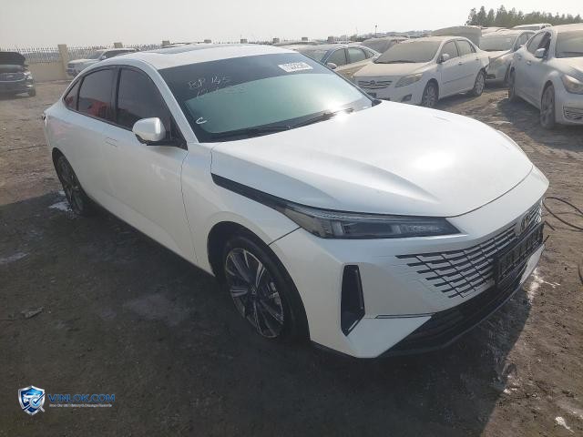 2025 CHAN EADO PLUS – Lot 75322585 auction photo