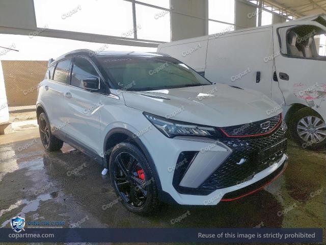 2024 GEEA COOLRAY – Lot 75324545 auction photo