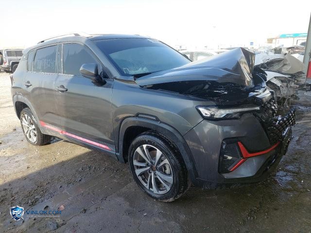 2025 CHAN CS35 PLUS – Lot 75893245 auction photo