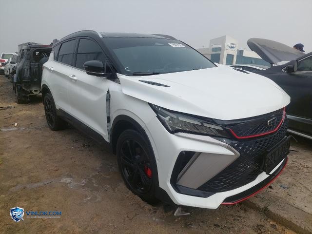 2025 GEEA COOLRAY – Lot 75893935 auction photo