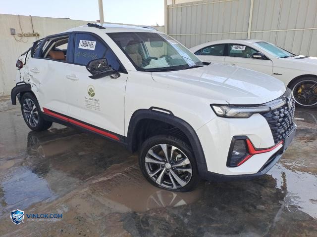2024 CHAN CS35 – Lot 76064185 auction photo