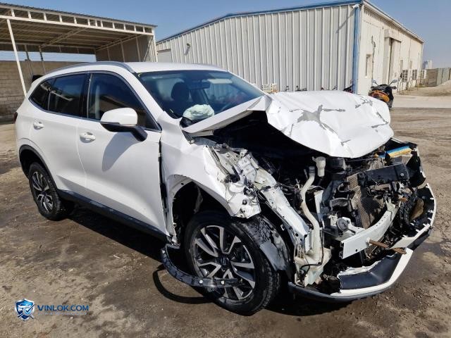 2021 HAVA H6 – Lot 76064325 auction photo