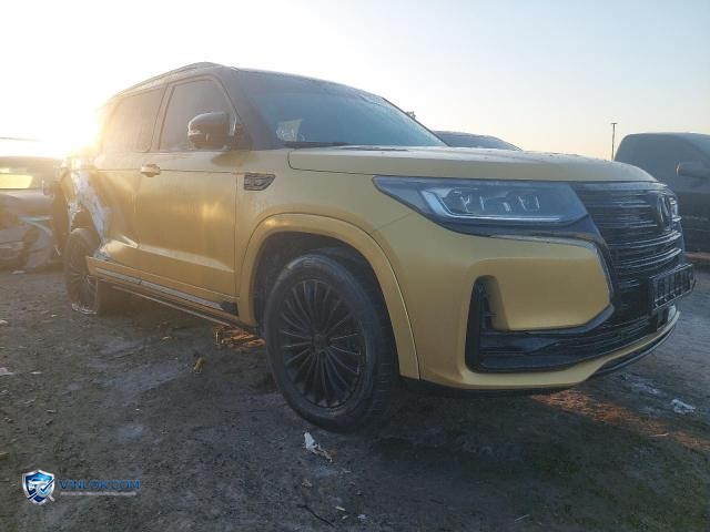 2020 CHAN CS95 – Lot 76088815 auction photo