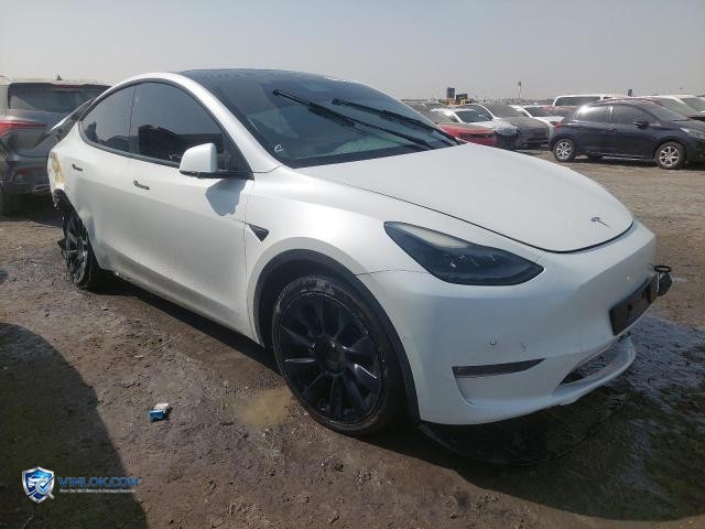 2022 TESLA MODEL Y – Lot 76095245 auction photo