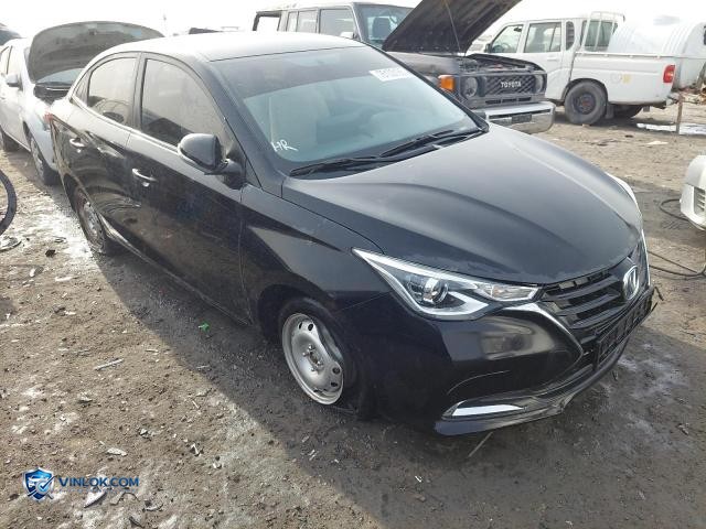 2024 CHAN ALSVIN – Lot 76103185 auction photo
