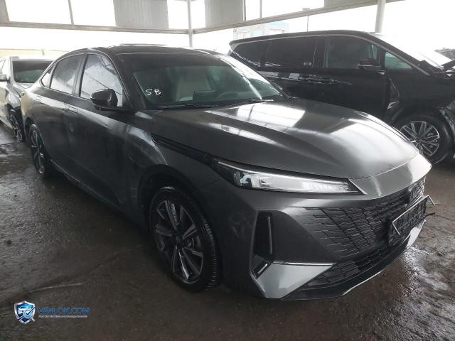 2025 CHAN EADO – Lot 76107545 auction photo