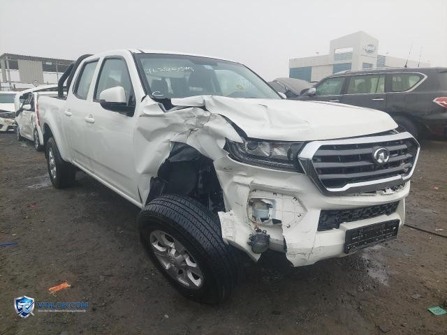 2025 GREA WINGLE – Lot 76285075 auction photo