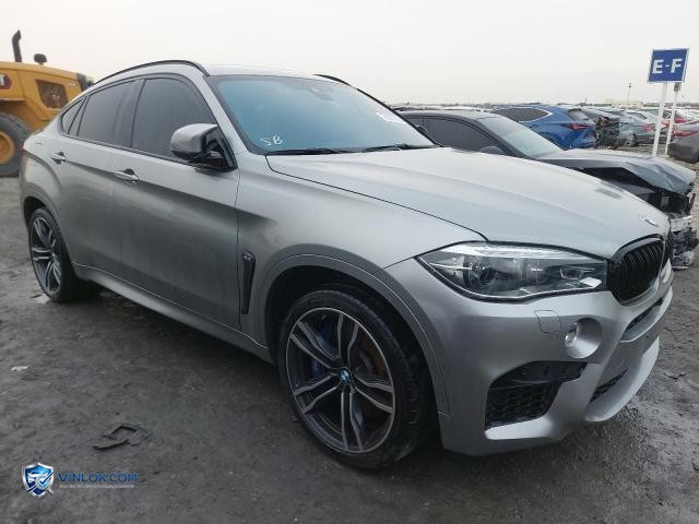 2017 BMW X6 – Lot 76297785 auction photo