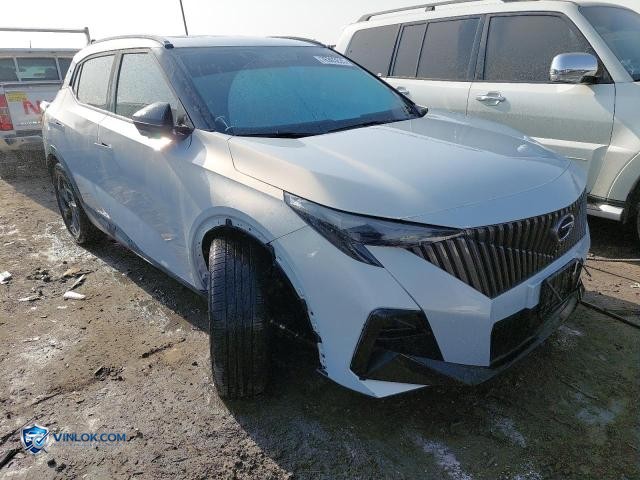 2025 GAC GS3 – Lot 76303635 auction photo