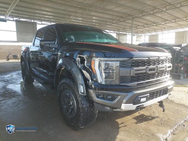 2022 FORD F150 RAPTO – Lot 76506495 auction photo