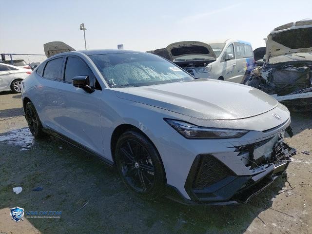 2025 CHAN UNI-V – Lot 76674645 auction photo