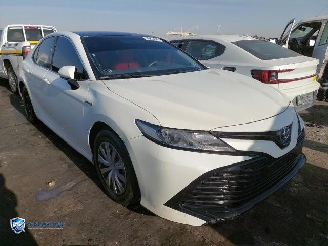 2019 TOYOTA CAMRY – Lot 76675305 auction photo