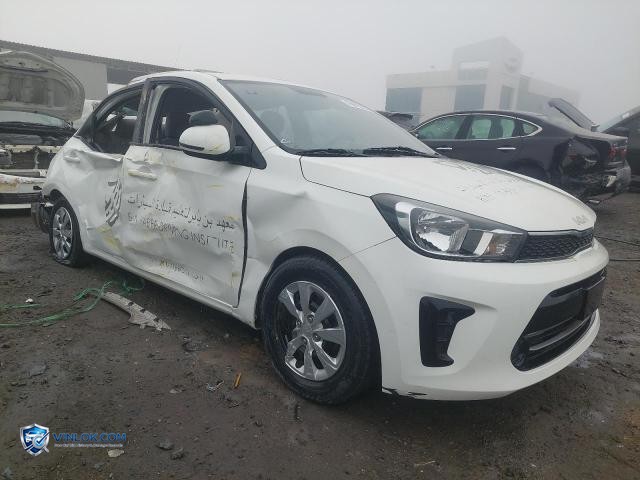 2023 KIA PEGAS – Lot 76675355 auction photo