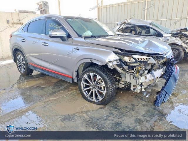 2023 CHAN CS85 – Lot 77246945 auction photo