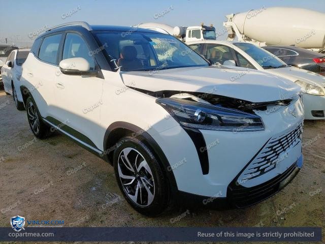 2026 KAIY X3 PRO – Lot 77254885 auction photo