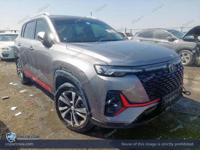 2025 CHAN CS35 – Lot 77262745 auction photo