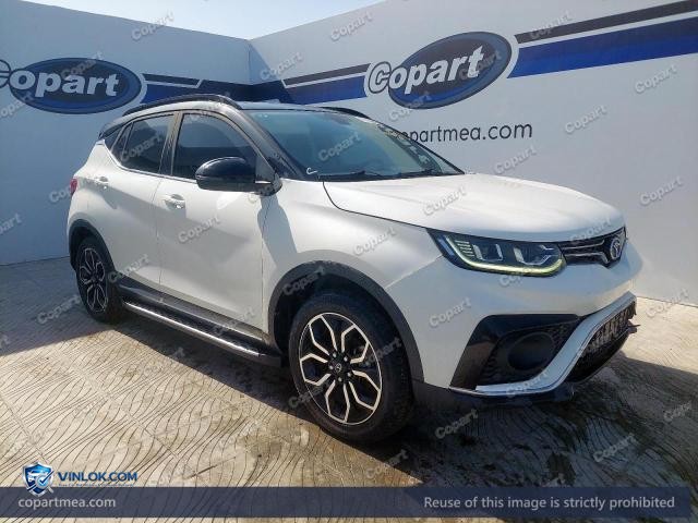 2023 SOUE DX3 – Lot 77438005 auction photo
