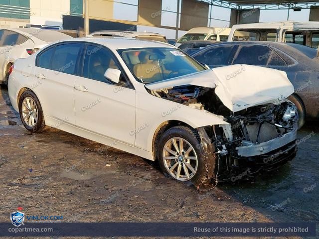 2016 BMW 318 – Lot 77441925 auction photo