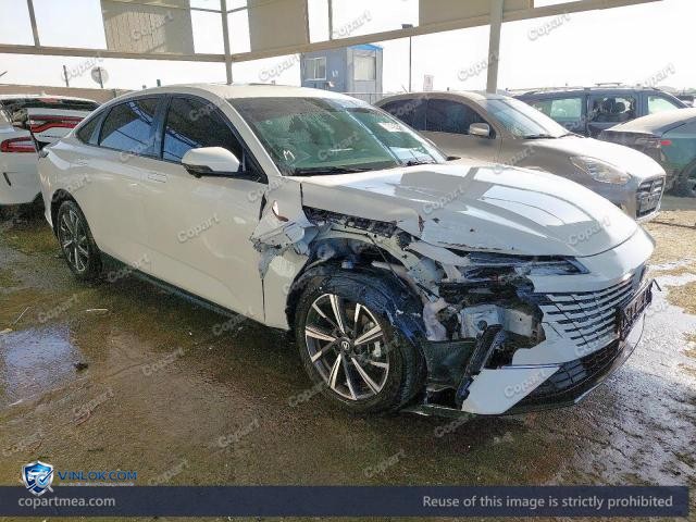 2025 CHAN EADO PLUS – Lot 77455275 auction photo
