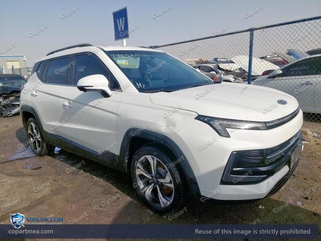 2023 JAC JS4 – Lot 77632605 auction photo