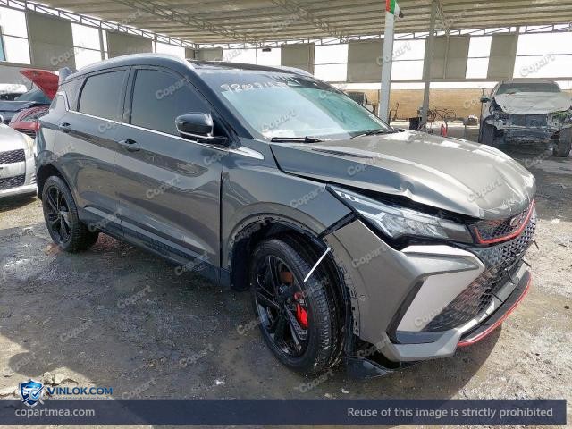 2025 GEEA COOLRAY – Lot 78007125 auction photo