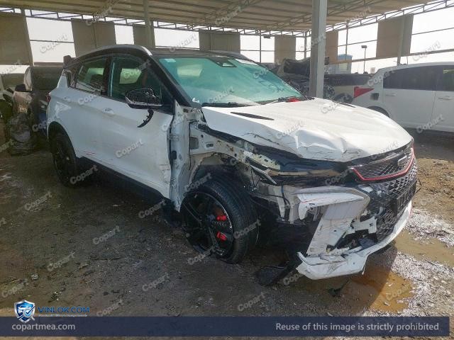 2024 GEEA COOLRAY – Lot 78007185 auction photo