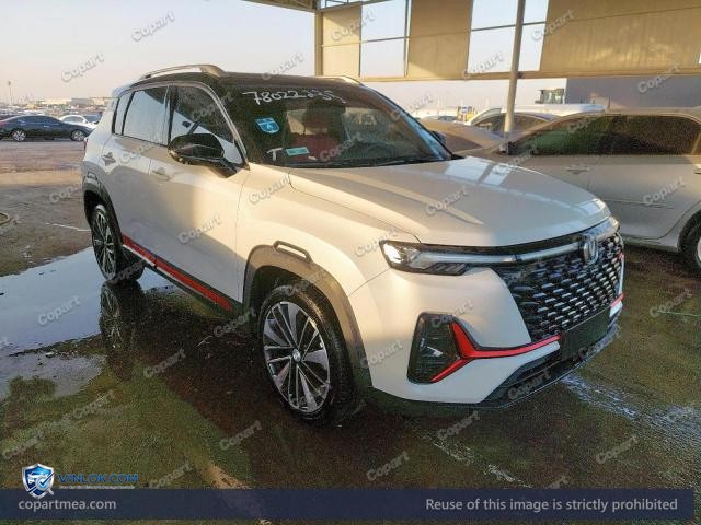 2023 CHAN CS35 PLUS – Lot 78022235 auction photo