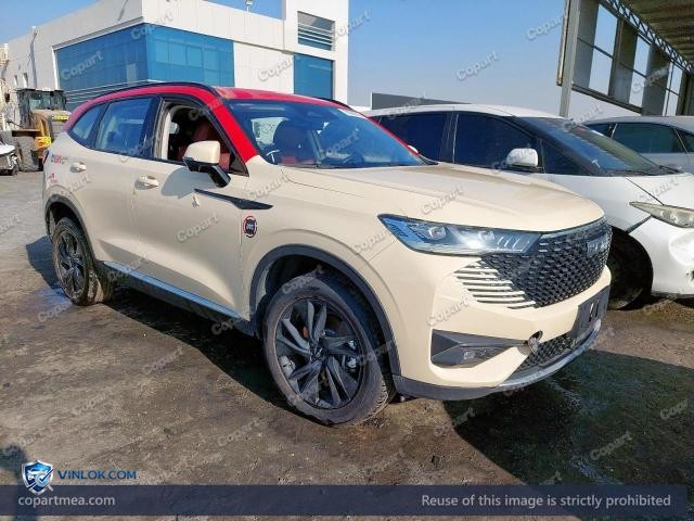 2025 HAVA H6 – Lot 78383575 auction photo