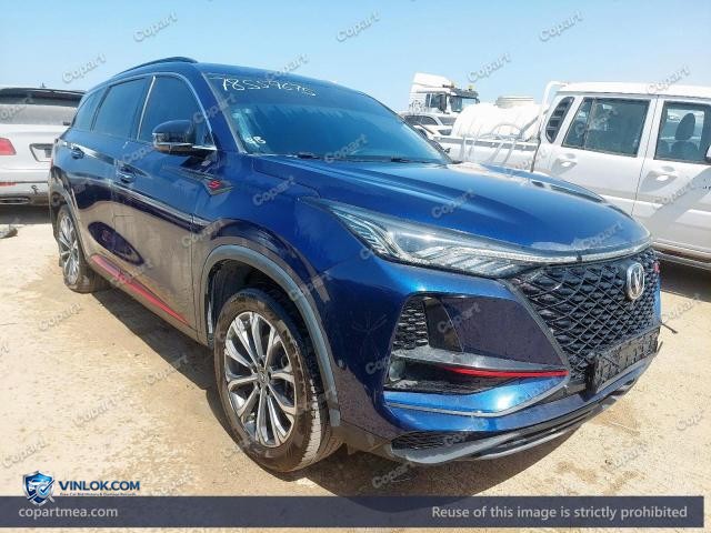 2022 CHAN CS75 – Lot 78559675 auction photo