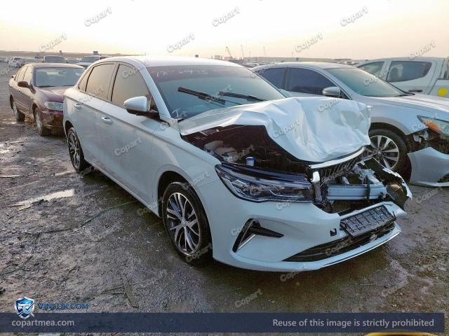 2025 GEEA EMGRAND – Lot 78560435 auction photo