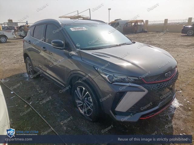 2025 GEEL COOLRAY – Lot 78564995 auction photo