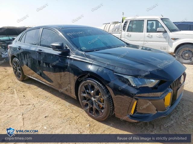 2024 GAC EMPOW – Lot 78565575 auction photo