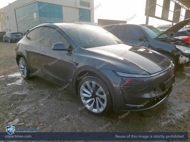2025 TESLA MODEL Y – Lot 78744035 auction photo