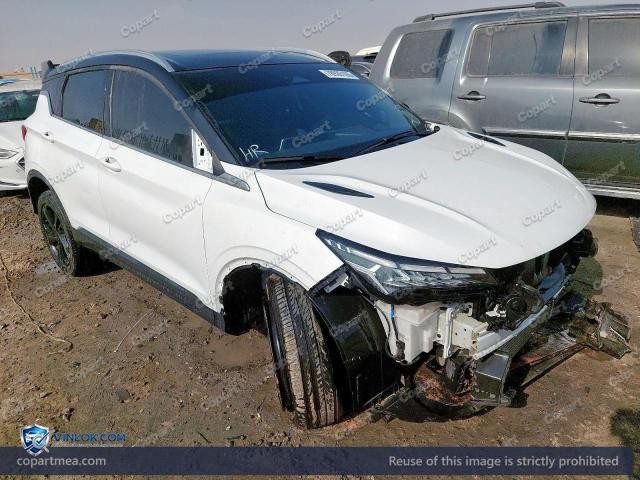 2024 GEEA COOLRAY – Lot 78935165 auction photo