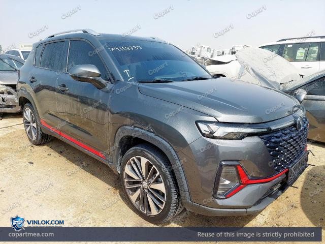 2024 CHAN CS35 PLUS – Lot 79118735 auction photo