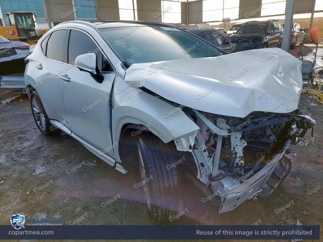 2024 LEXUS NX 350H – Lot 79129875 auction photo