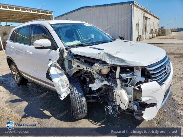 2021 CHAN CS75 – Lot 79321305 auction photo